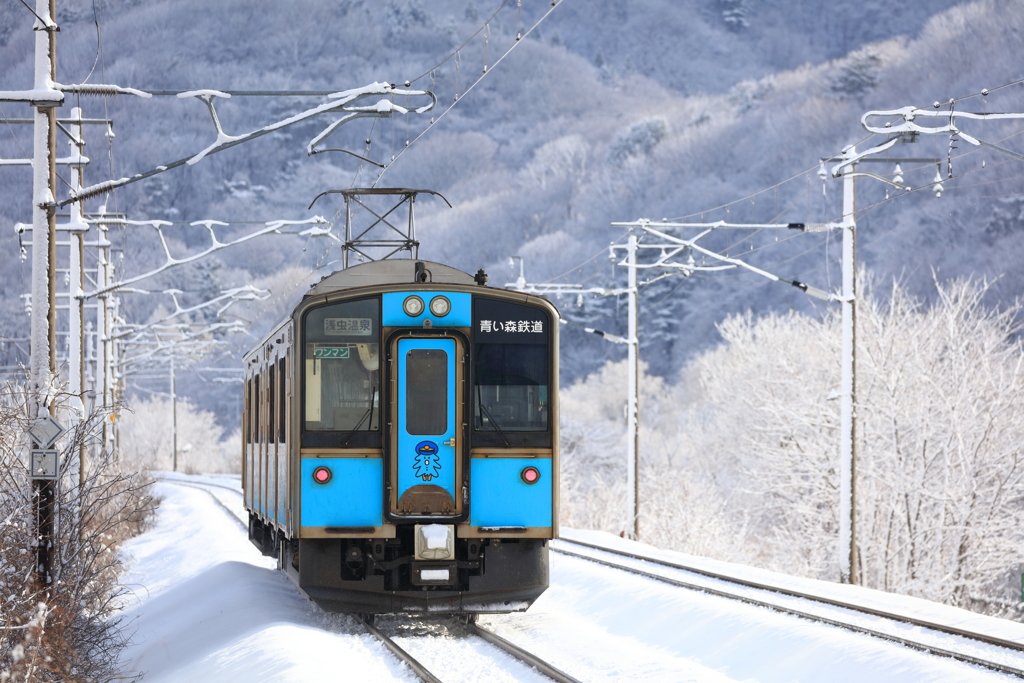 卯月の雪華