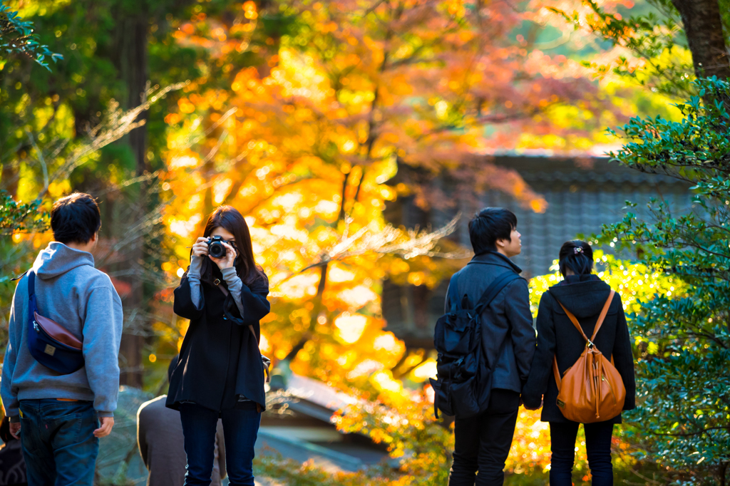 それぞれの紅葉