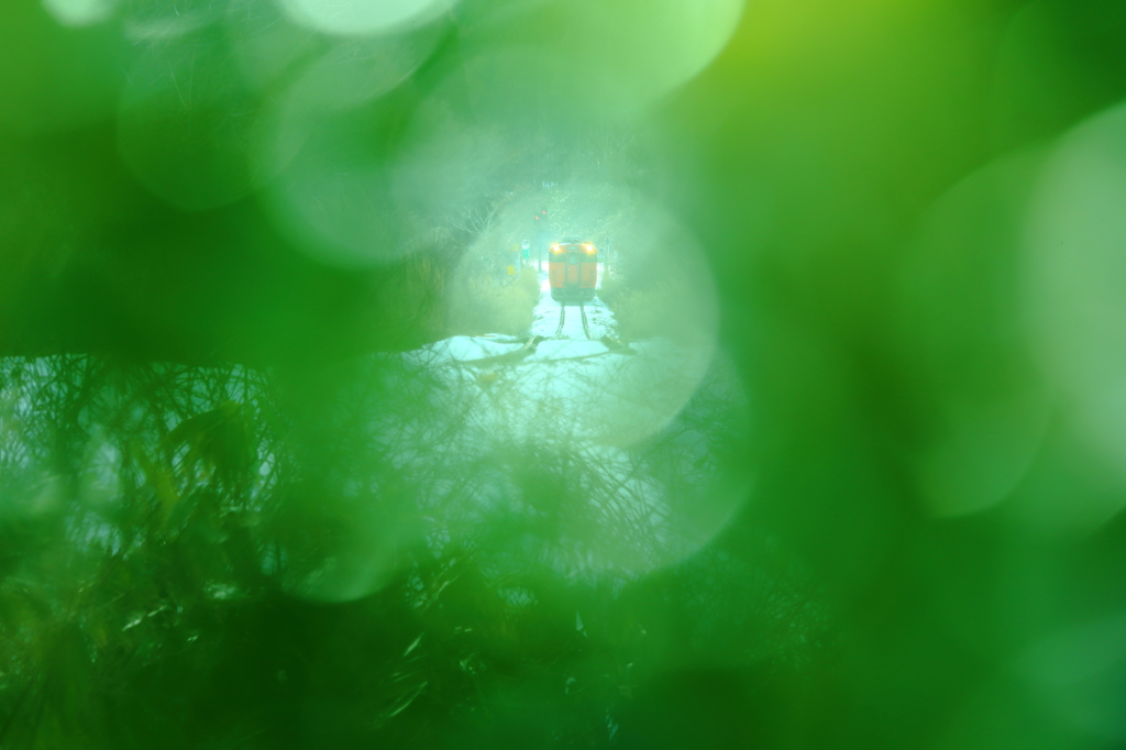 Green Train I
