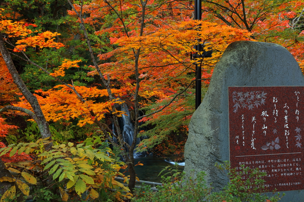 もみじ山の秋 2017 V