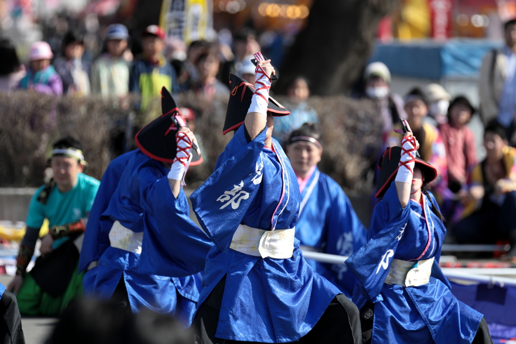 よさこい元気祭り 2019 XIV