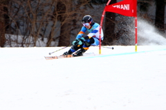 全国高等学校スキー大会 女子GS XI