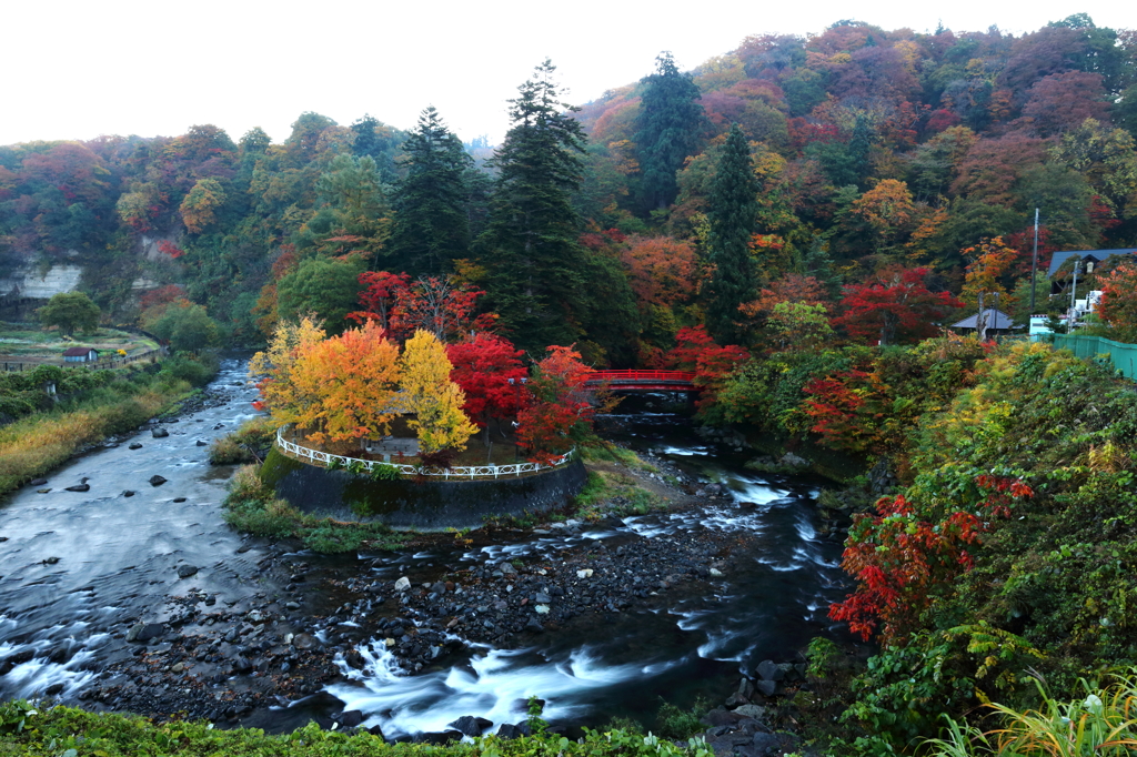 中野もみじ山 2014 IV