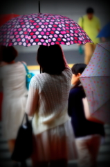 傘華 III