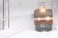雪そして・・・II