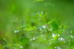 雨の休日 VI