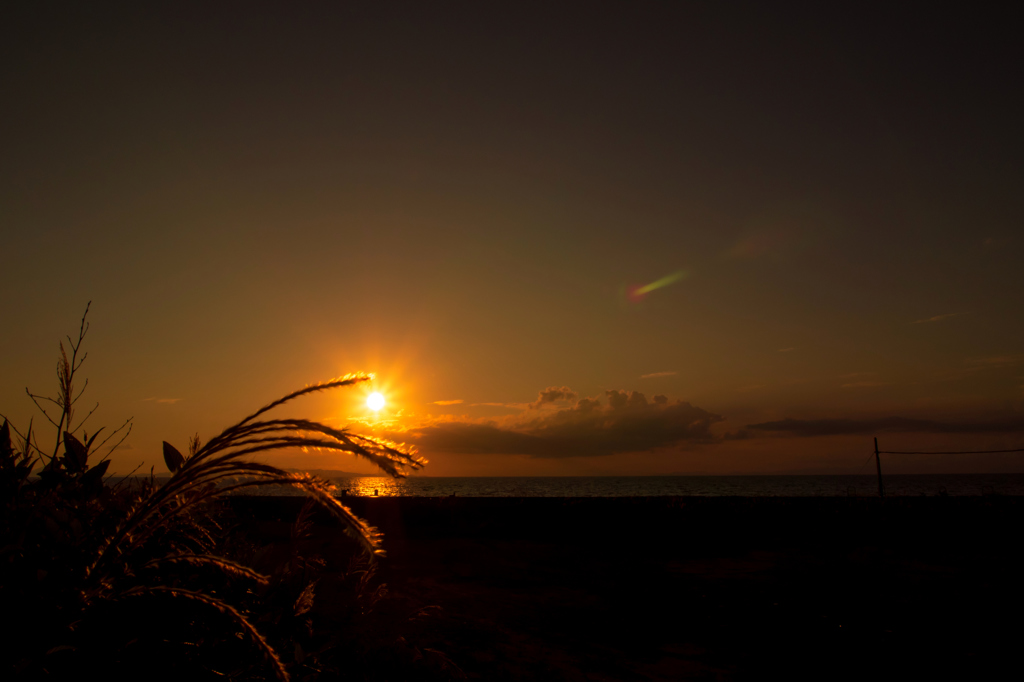 秋の夕陽