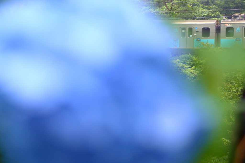 梅雨の合間