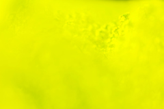 Yellow World II