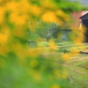 南部縦貫 夏景色 II