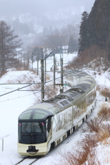 TRAIN SUITE 四季島 IX