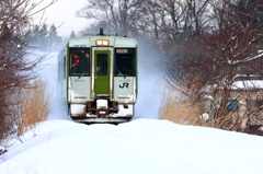 雪の合間 I