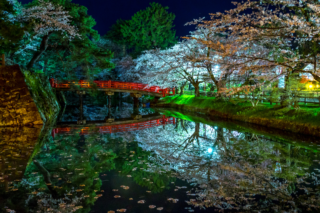 夜の弘前公園 I