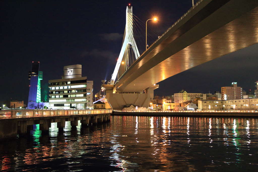 あおもり灯りと紙のページョント