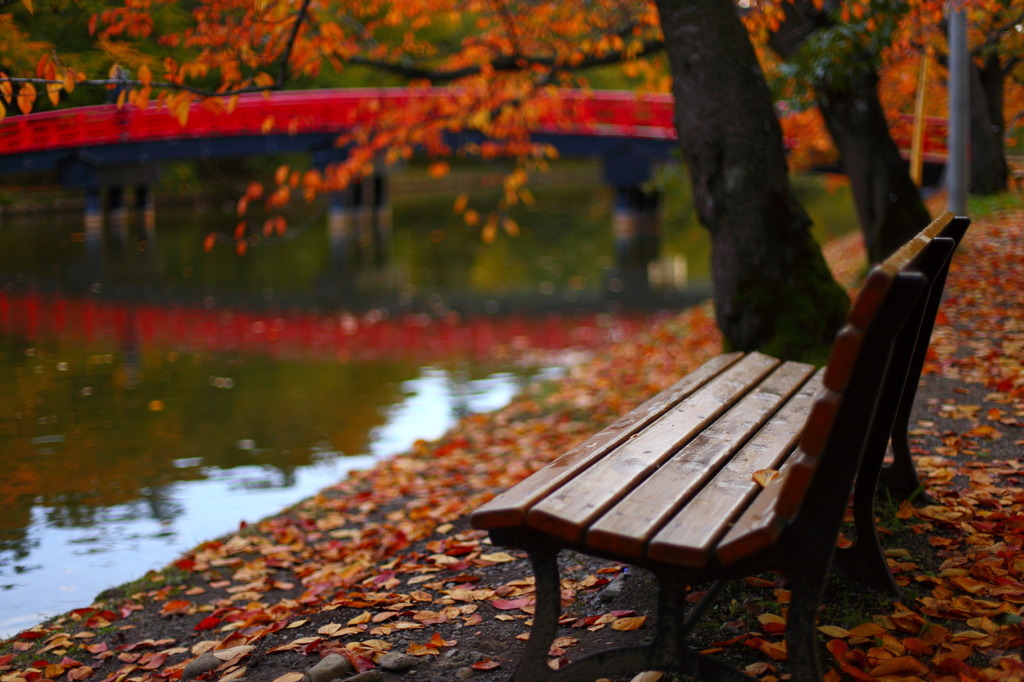 秋の弘前公園 08