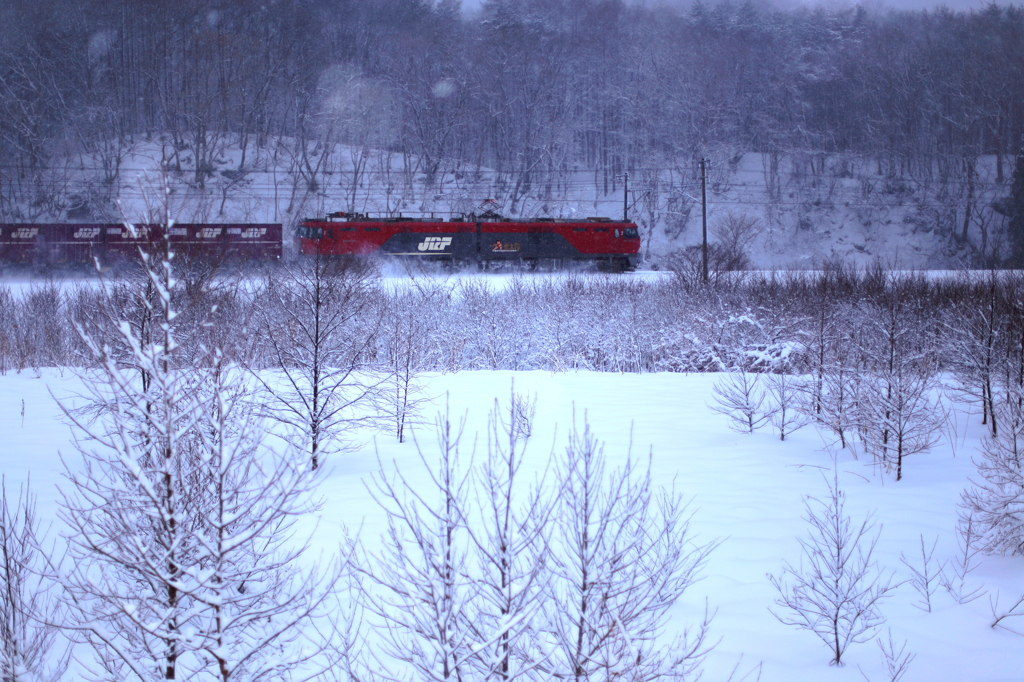 Snow blurring -Train- IV