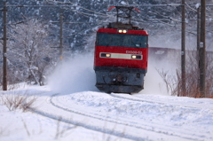 Snowfield Train XXI