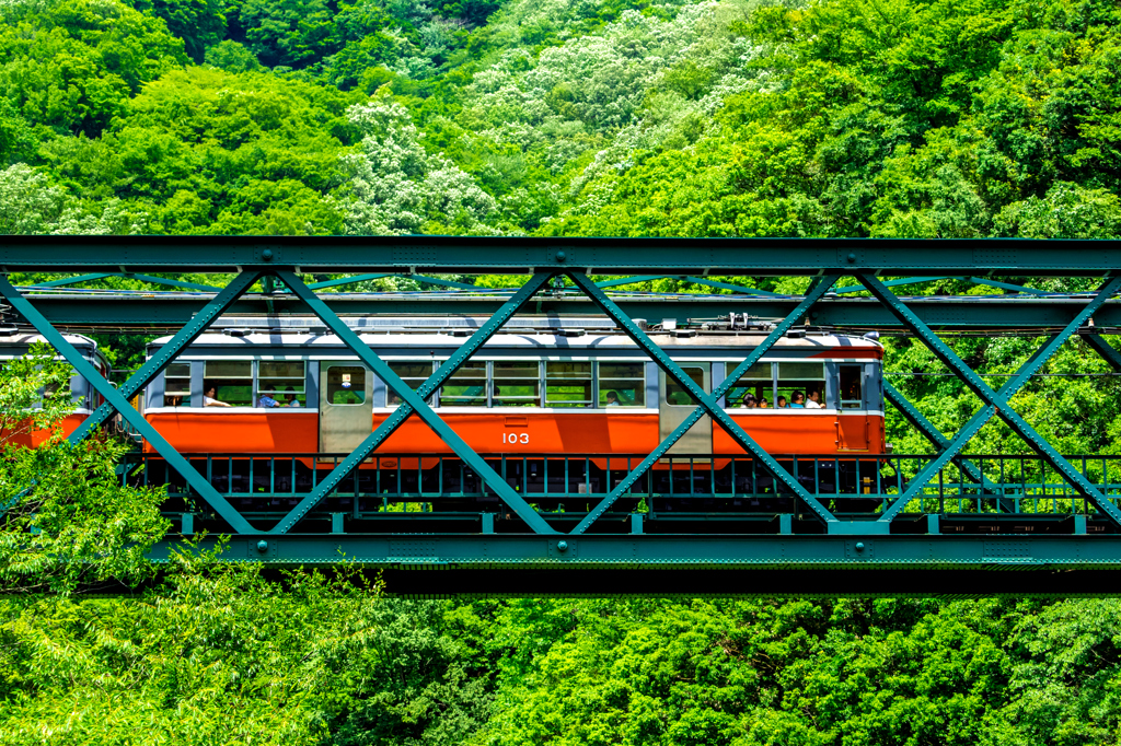 深緑の箱根 II