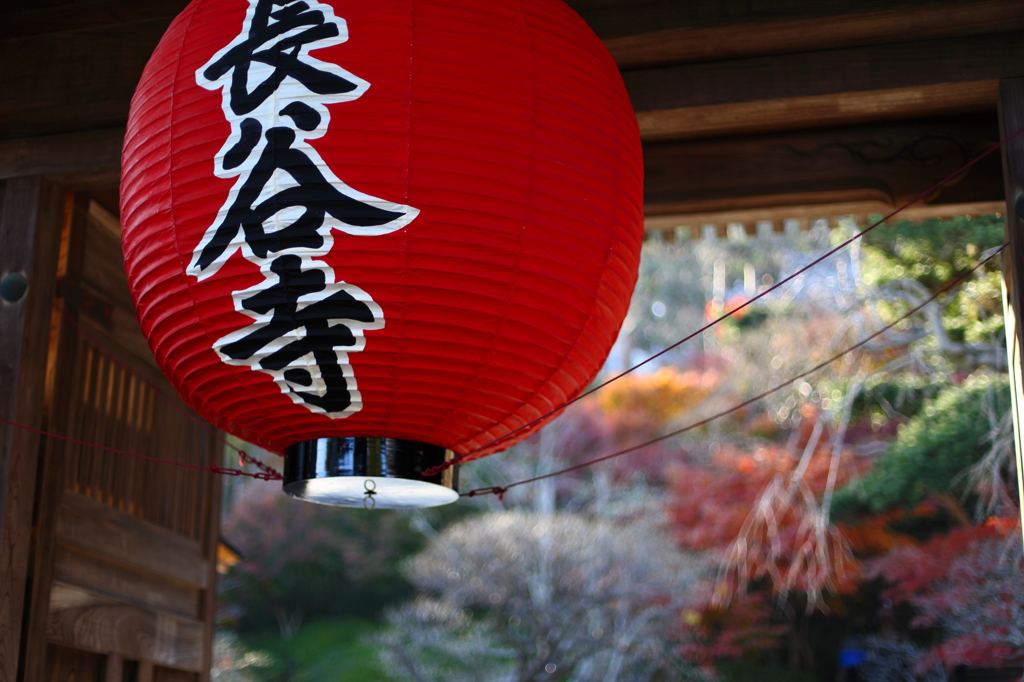 長谷寺の秋 01