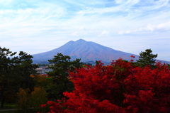 秋の弘前公園 02