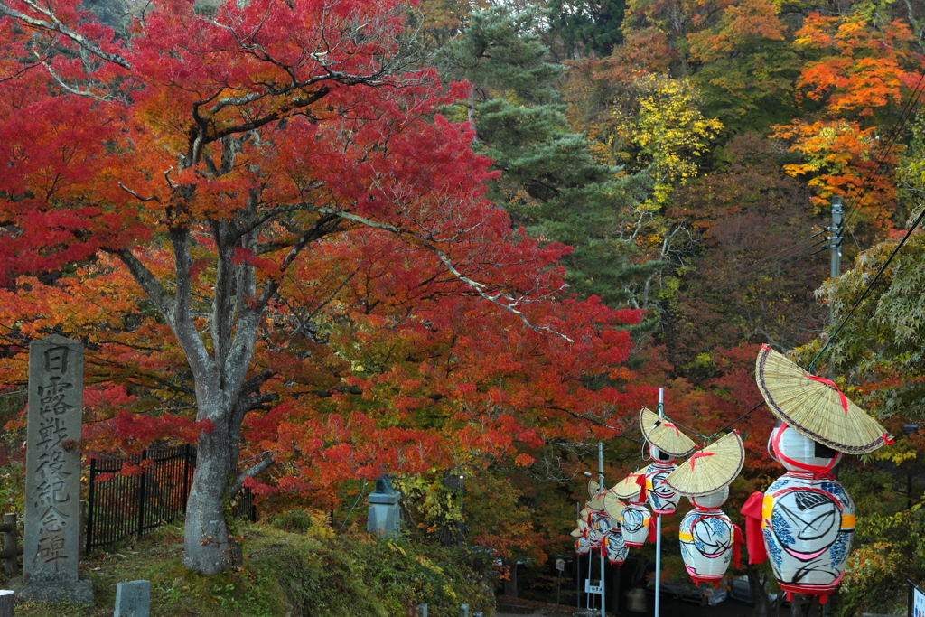 中野もみじ山の秋 XV