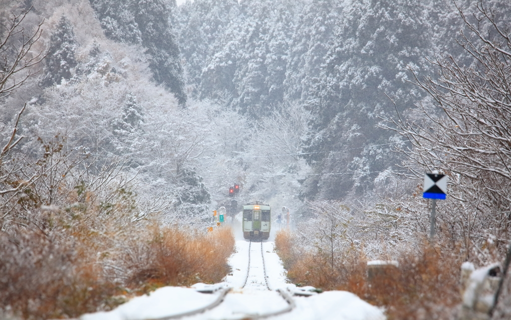 降る雪に霞む