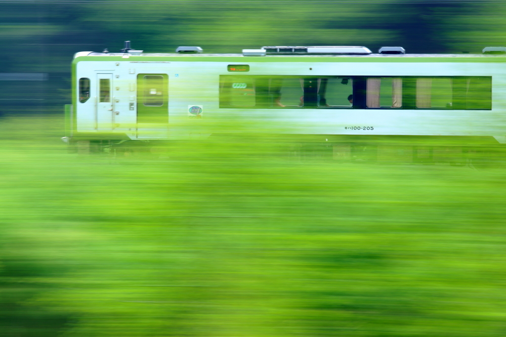 Spring Train XI