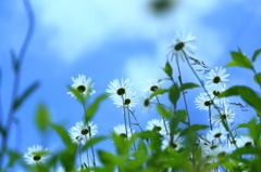 お尻がいっぱい