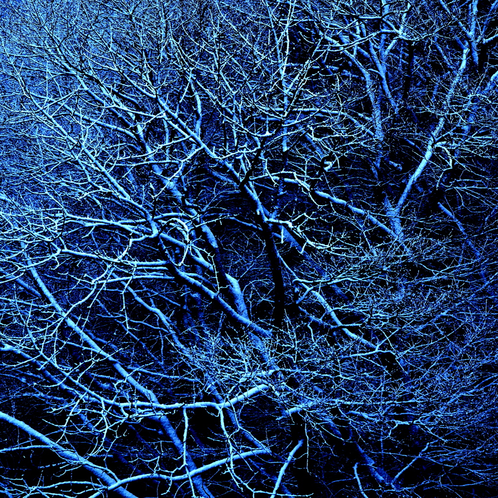 雪化粧