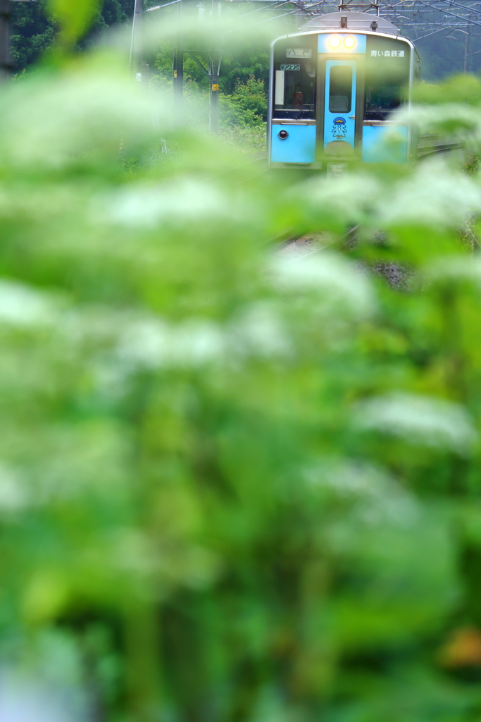 Rainy season train II