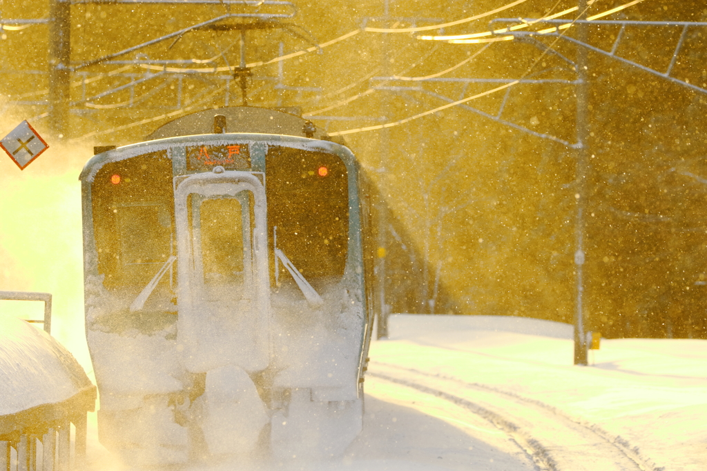 黄金色に舞う雪