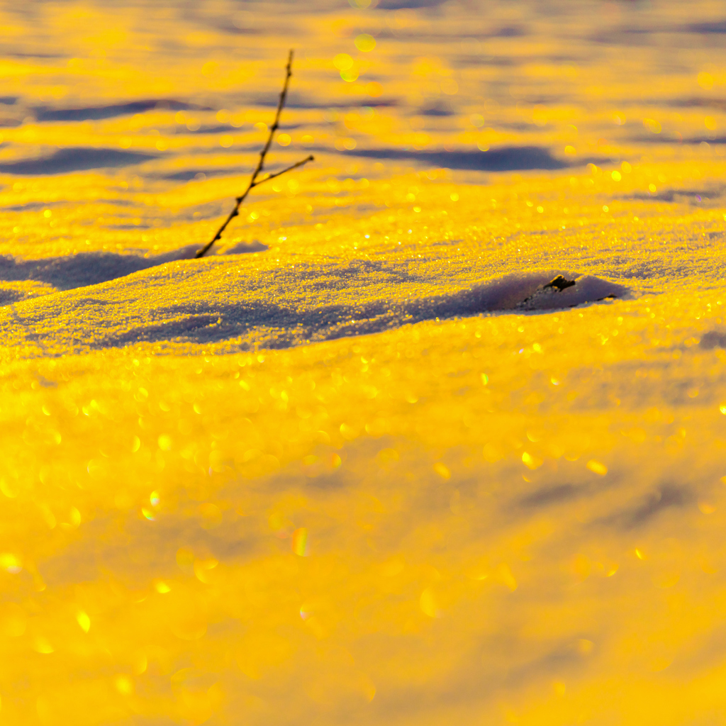Snowfield Sparkling