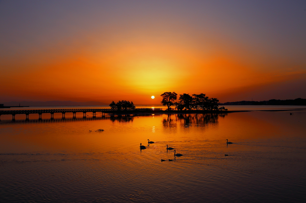 Sea of dawn V