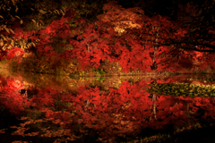 弘前公園の秋 IV