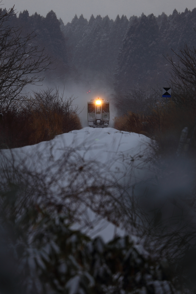 White train I