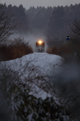 White train I