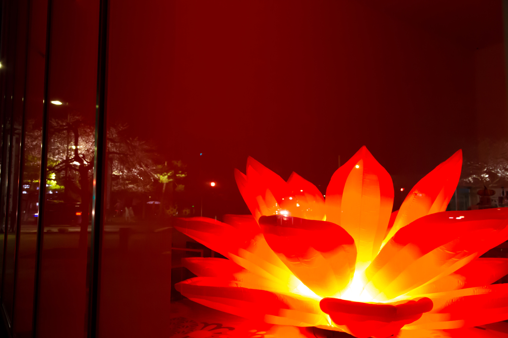 美術館の窓にも桜