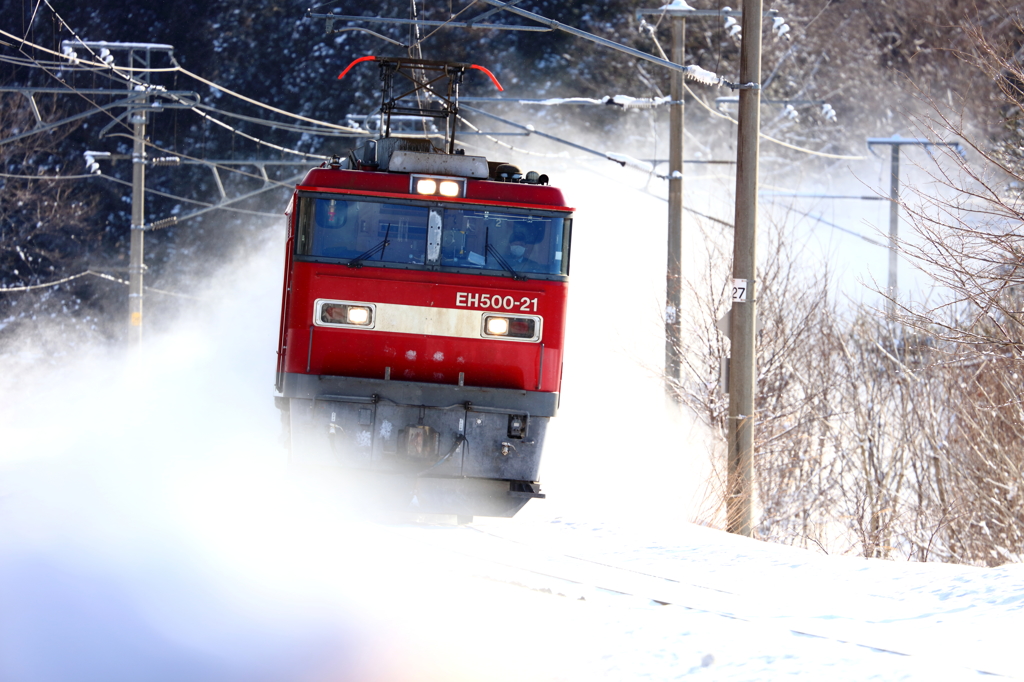 雪原疾走 II