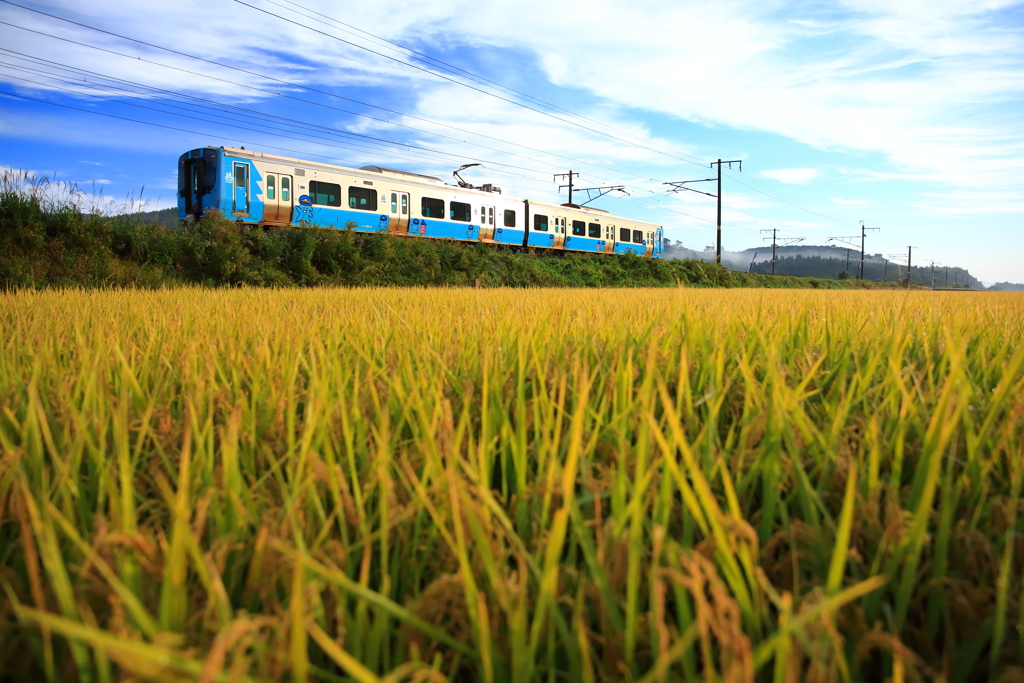 田園風景・青鉄