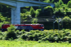 東北大橋を潜る金太郎