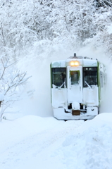 舞雪 II