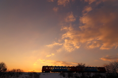 Morning glow train XXII