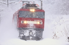 豪雪列車 X