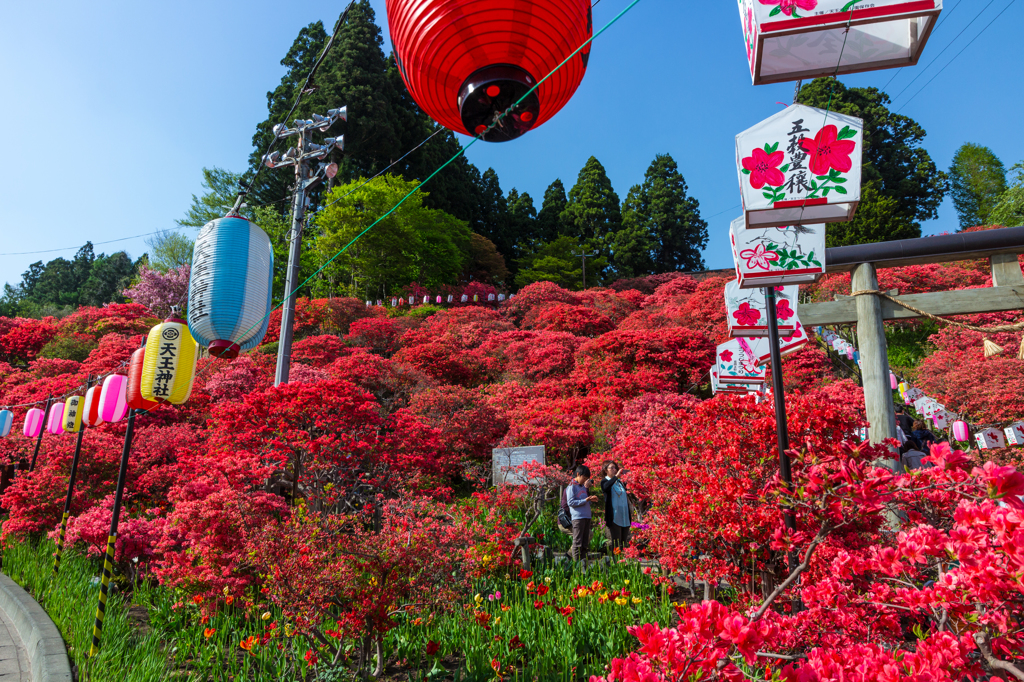 つつじ祭り I