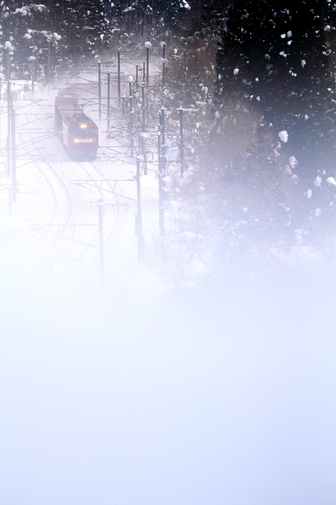 White world -Train- I