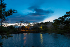 夕闇のいちょう公園にて