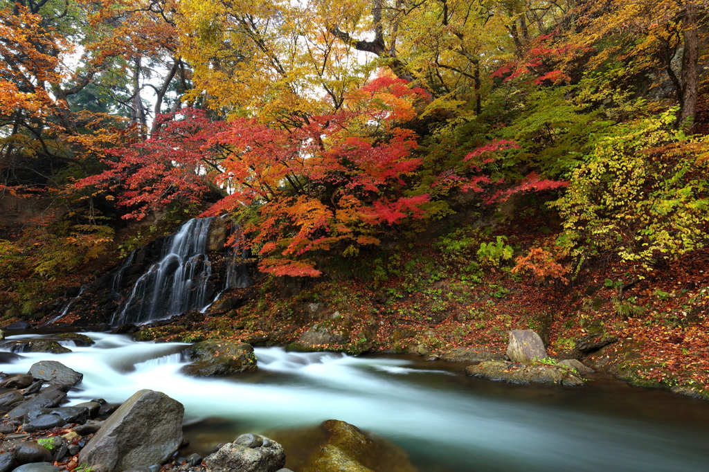 もみじ山の秋2015 I