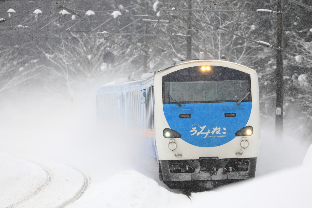 雪降るうみねこ