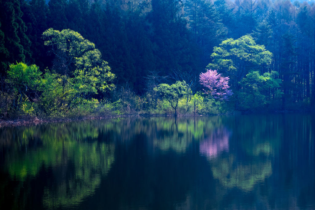 ため池に浮かぶ