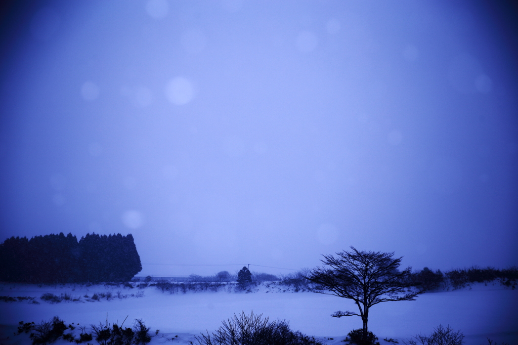 Plateau